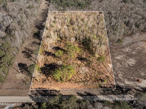 Vacant Land For Sale - 5.5 Acres Lynn Ray Road<br/> Forrest County, Petal, MS 39465