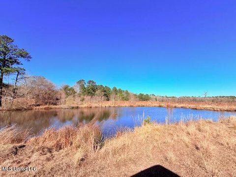 Vacant Land For Sale - John Smith Road<br/> Mount Hermon, LA 39518