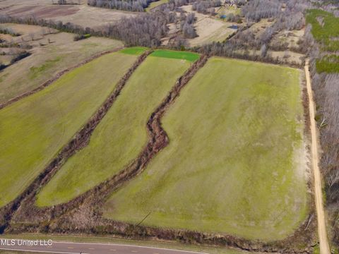 Vacant Land For Sale - Springhill Road<br/> Lexington, MS 39095