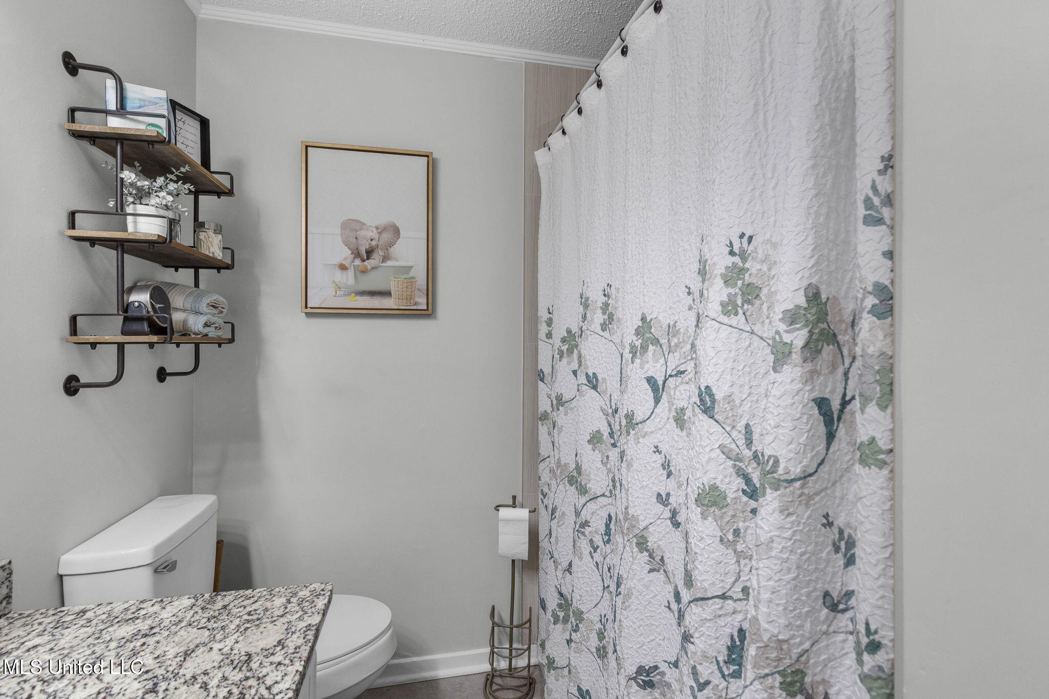 519 Bradford Drive, Brandon, Mississippi image 30