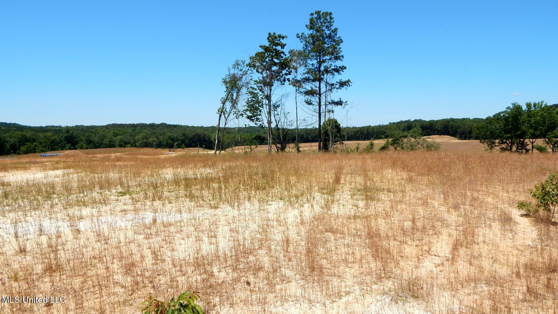 102 Hugh White State Park Road, Grenada, Mississippi image 1