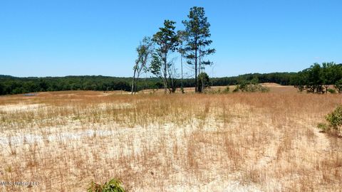Vacant Land For Sale - 102 Hugh White State Park Road<br/> Grenada, MS 38901