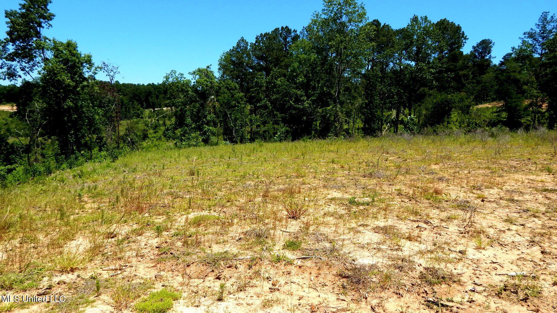 102 Hugh White State Park Road, Grenada, Mississippi image 2