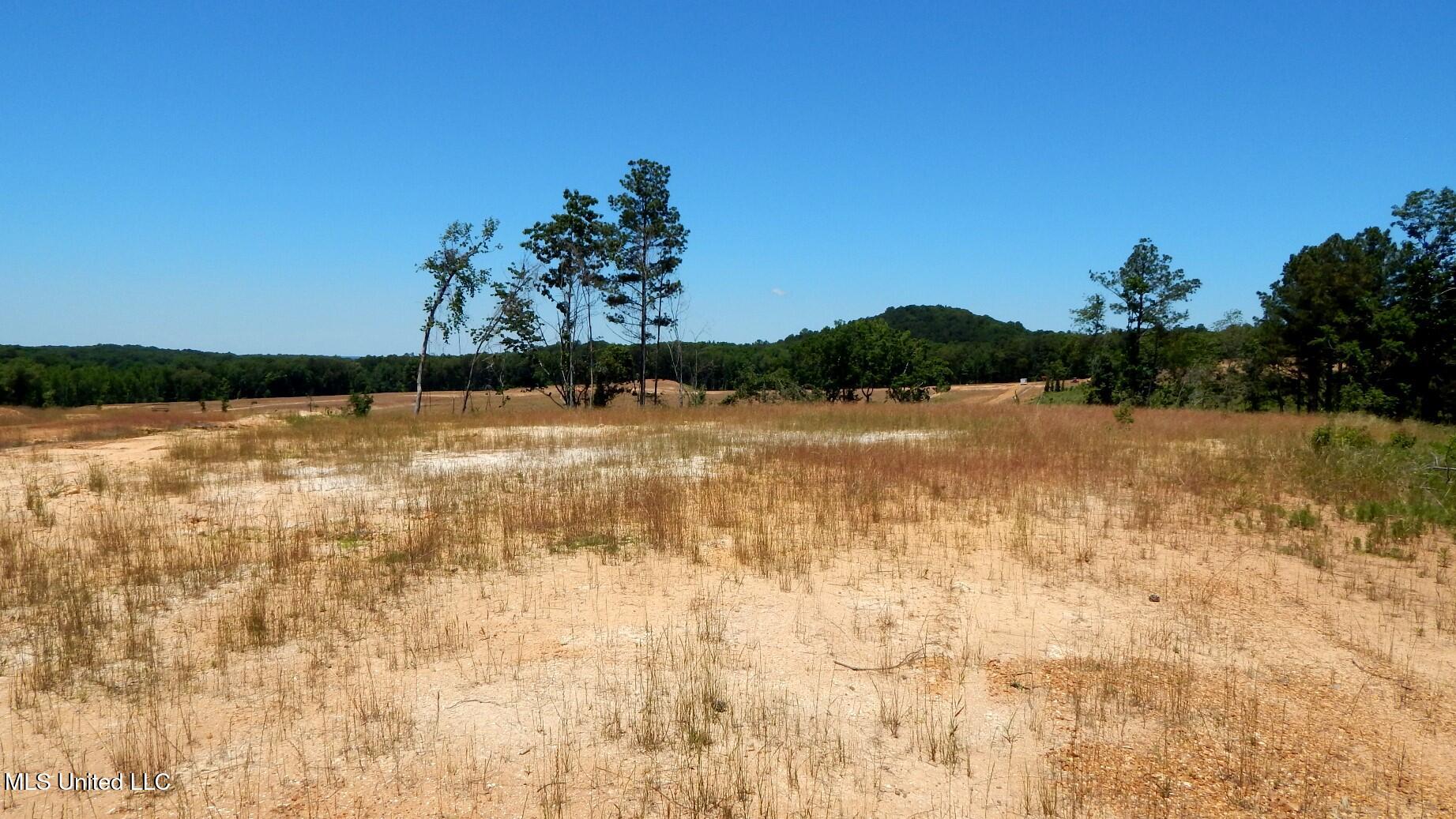 102 Hugh White State Park Road, Grenada, Mississippi image 4