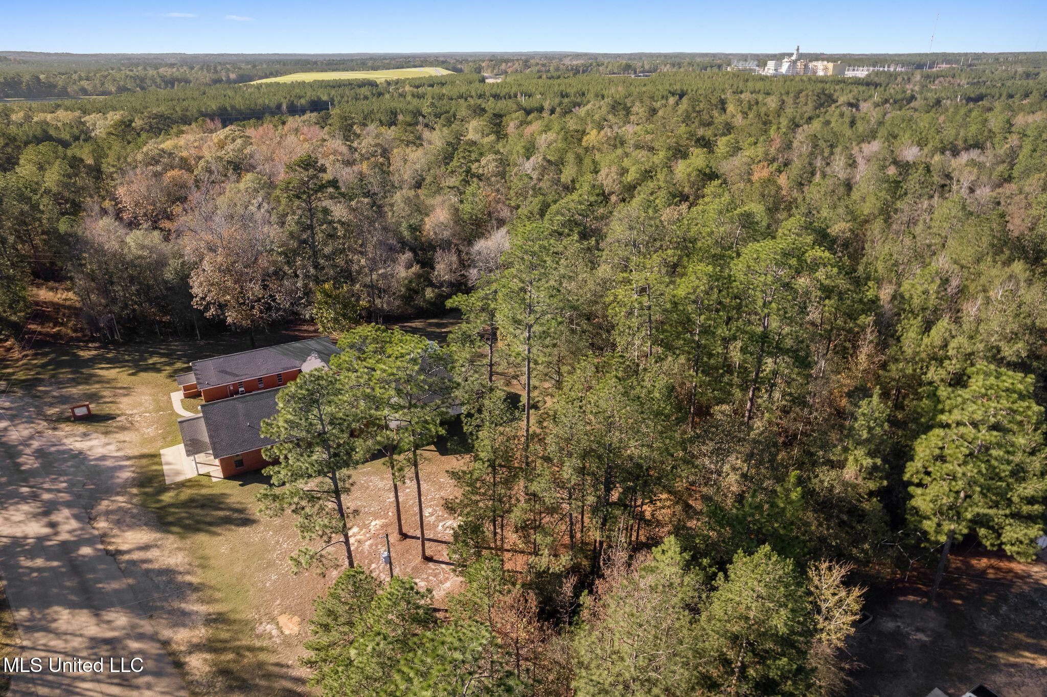 2.50 Acres Old Okahola School Road, Purvis, Mississippi image 3