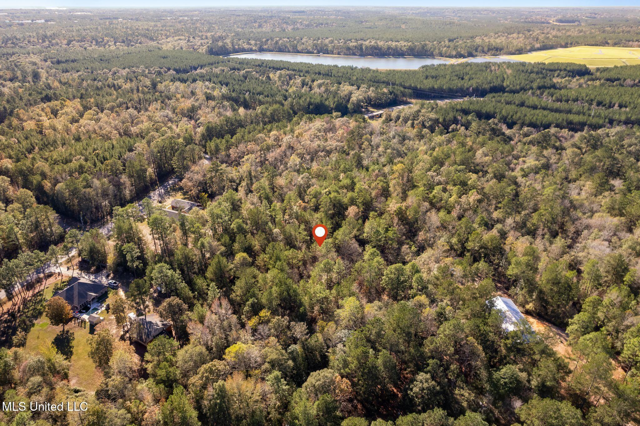 2.50 Acres Old Okahola School Road, Purvis, Mississippi image 6