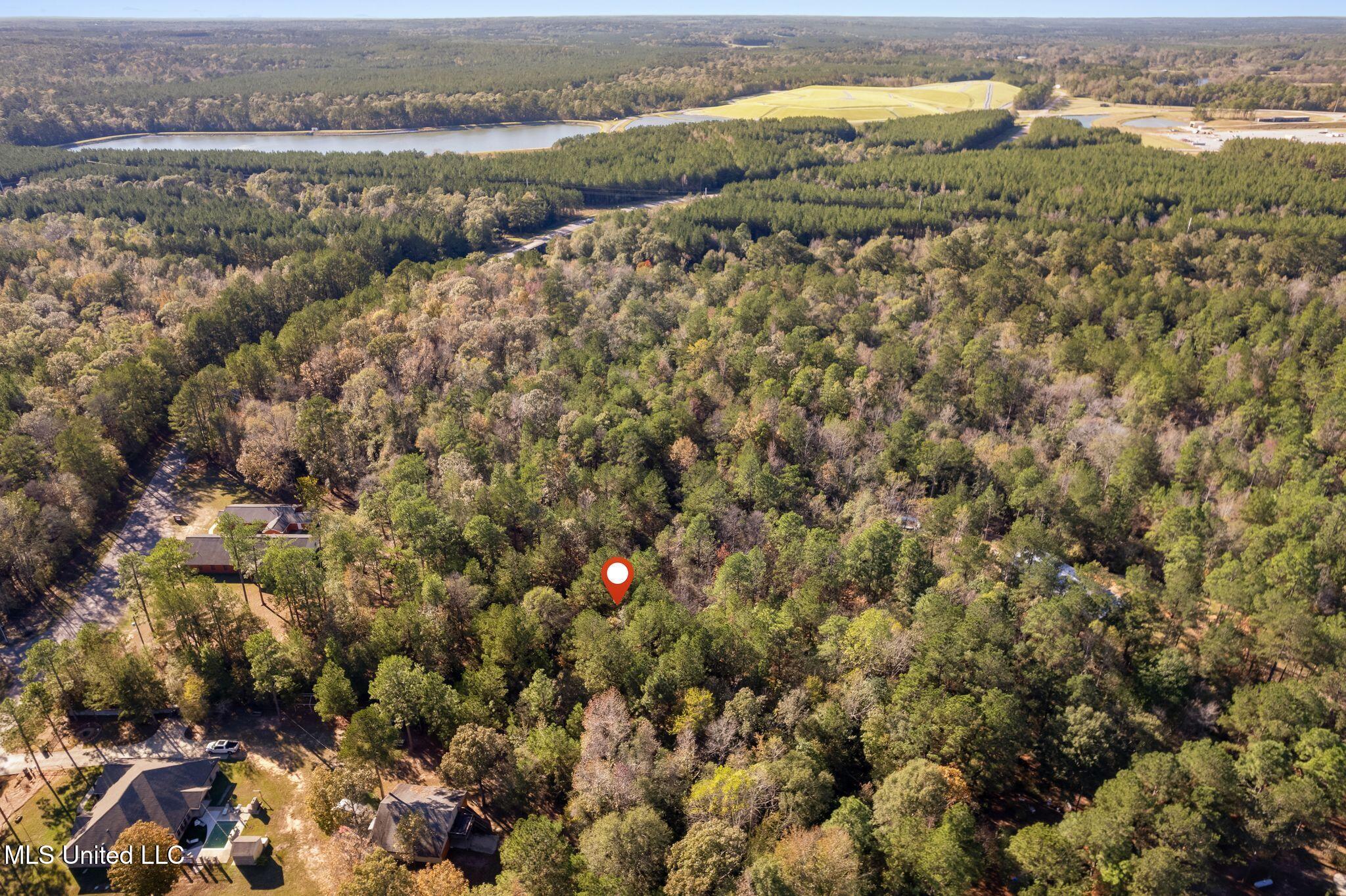 2.50 Acres Old Okahola School Road, Purvis, Mississippi image 5