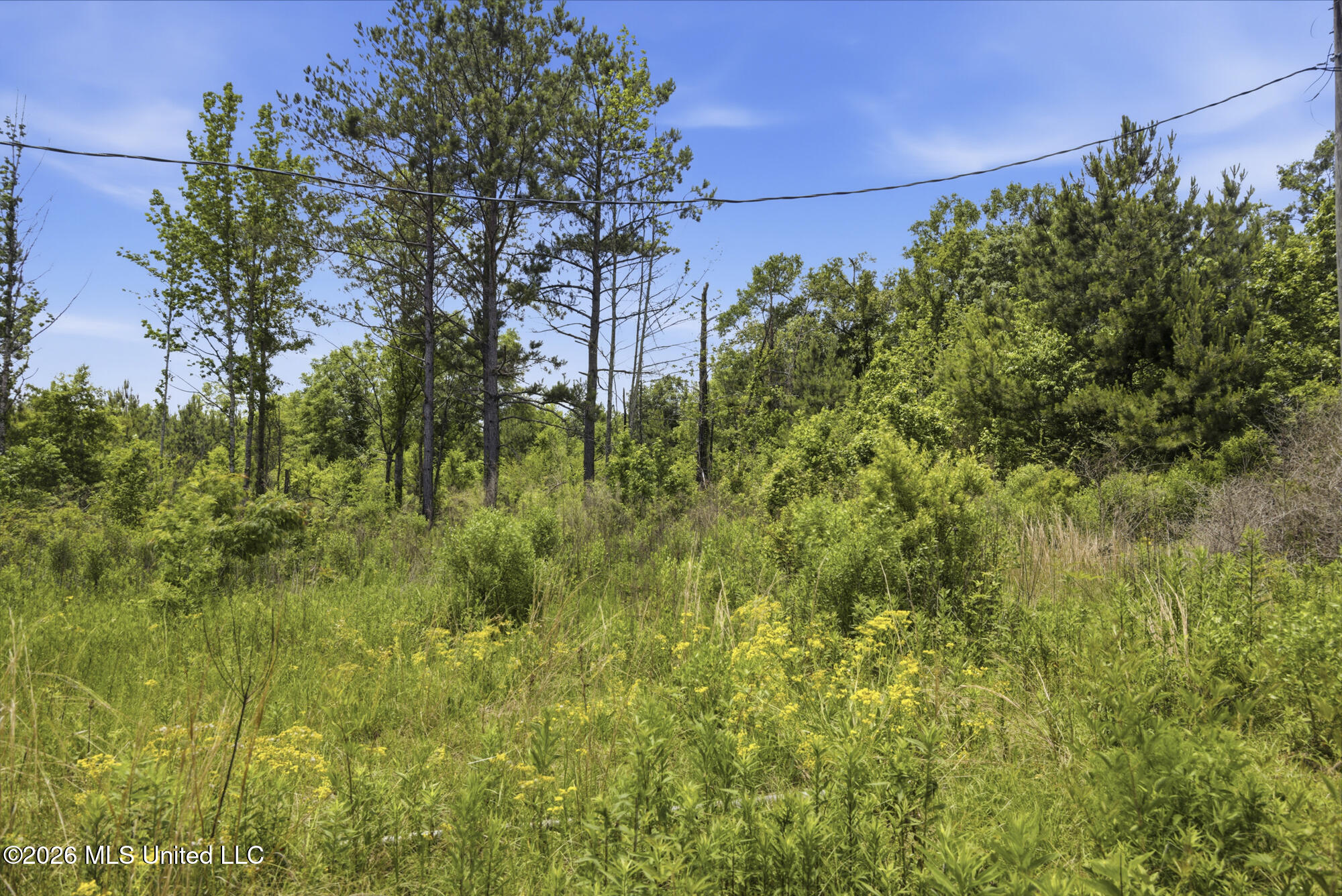 2705 Pilgrims Rest Road