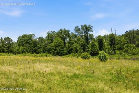 Vacant Land For Sale - 2705 Pilgrims Rest Road<br/> Amite County, Magnolia, MS 39652