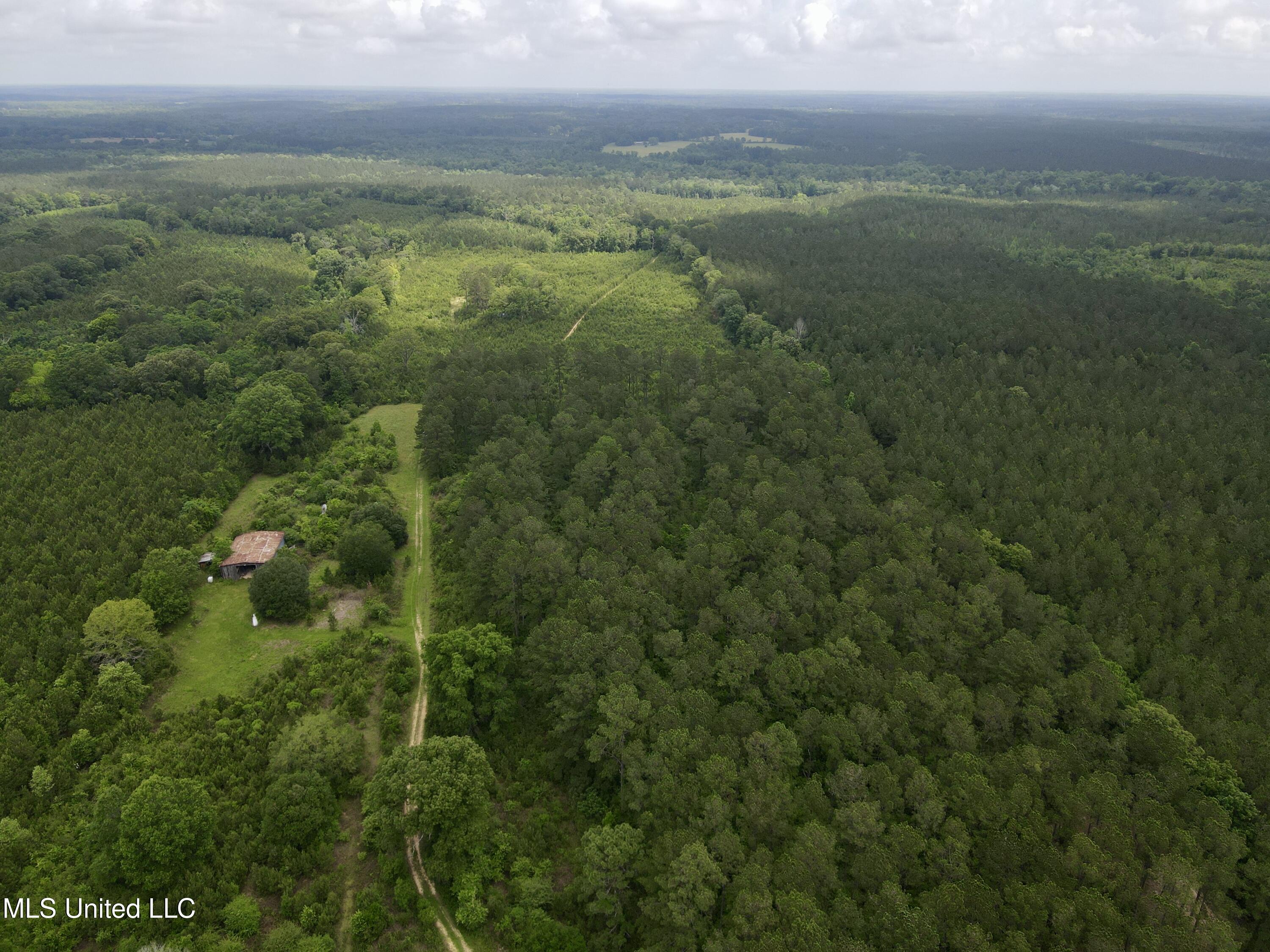 Old Stateline Rd, Tylertown, Mississippi image 4