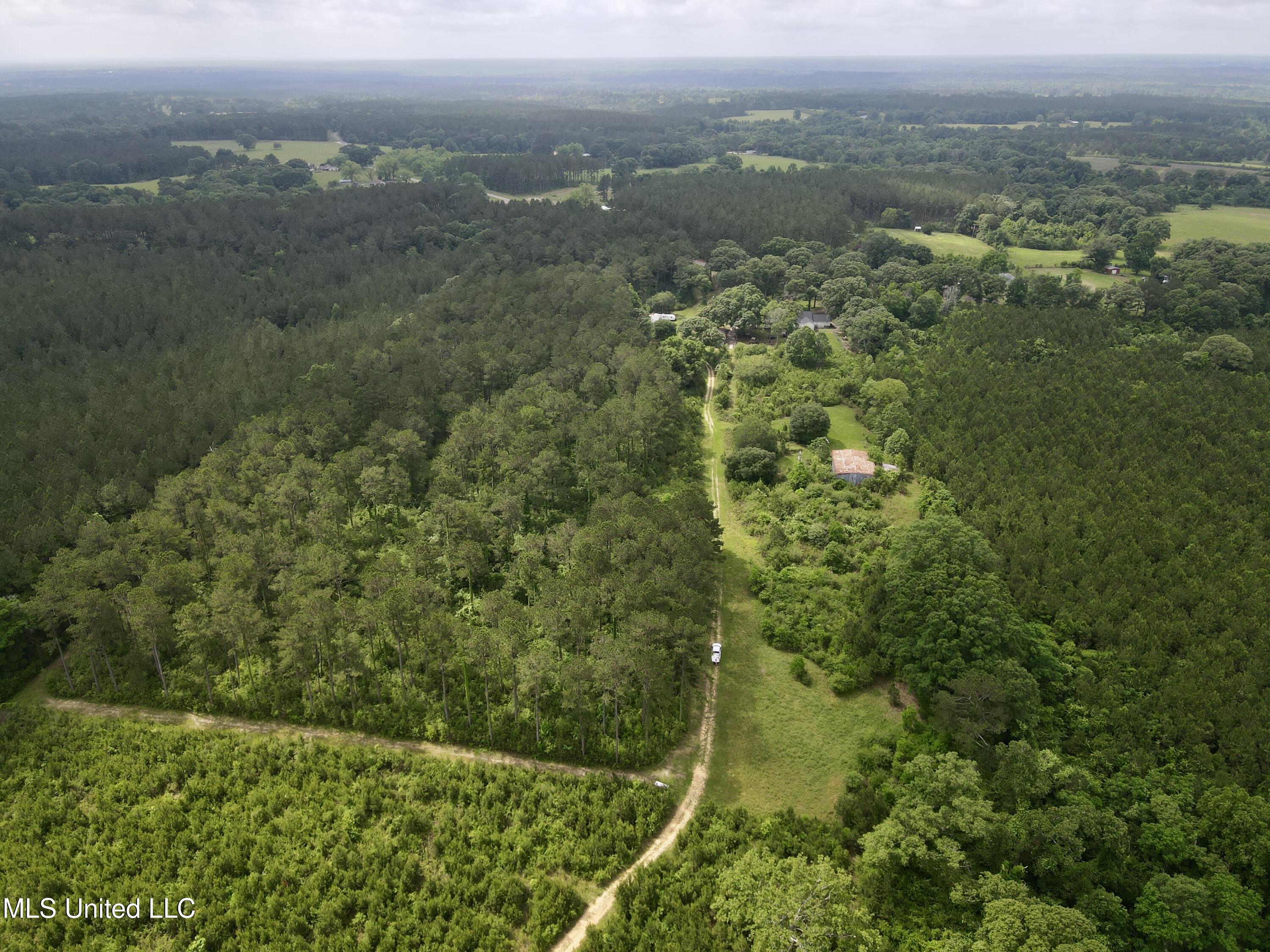 Old Stateline Rd, Tylertown, Mississippi image 3