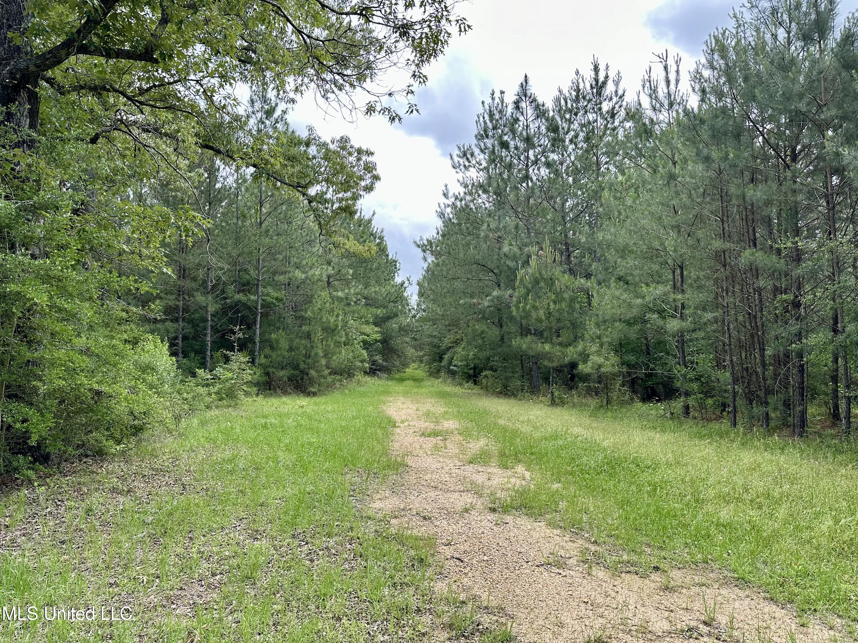 Old Stateline Rd, Tylertown, Mississippi image 10