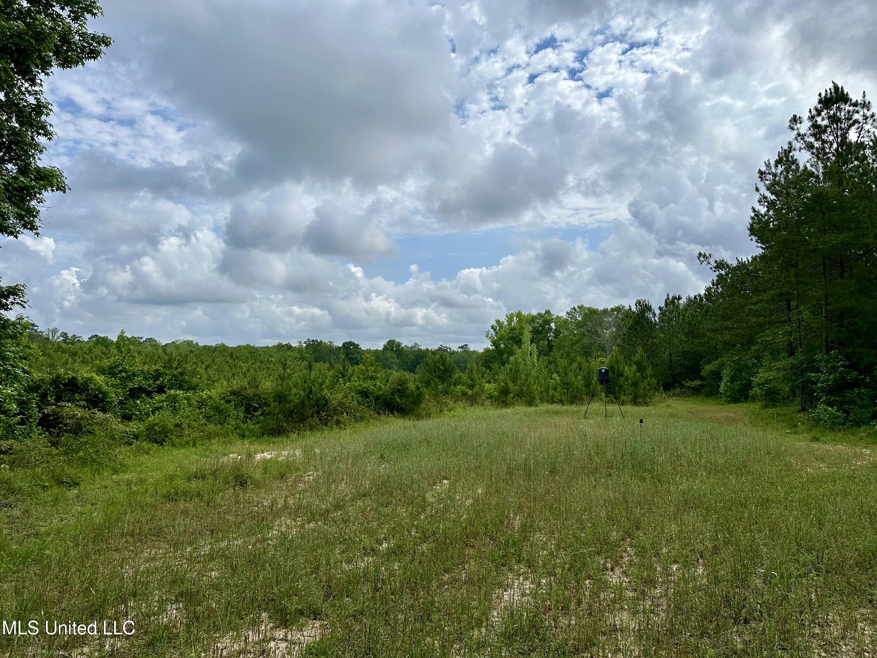 Old Stateline Rd, Tylertown, Mississippi image 15