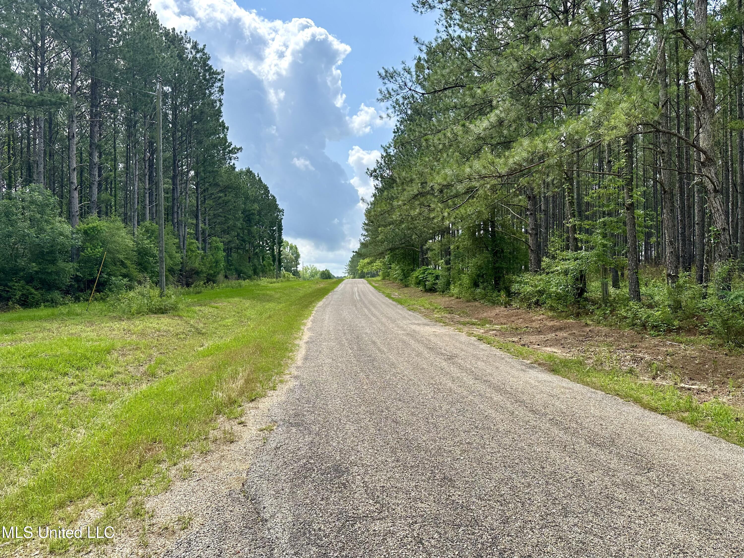 Old Stateline Rd, Tylertown, Mississippi image 1