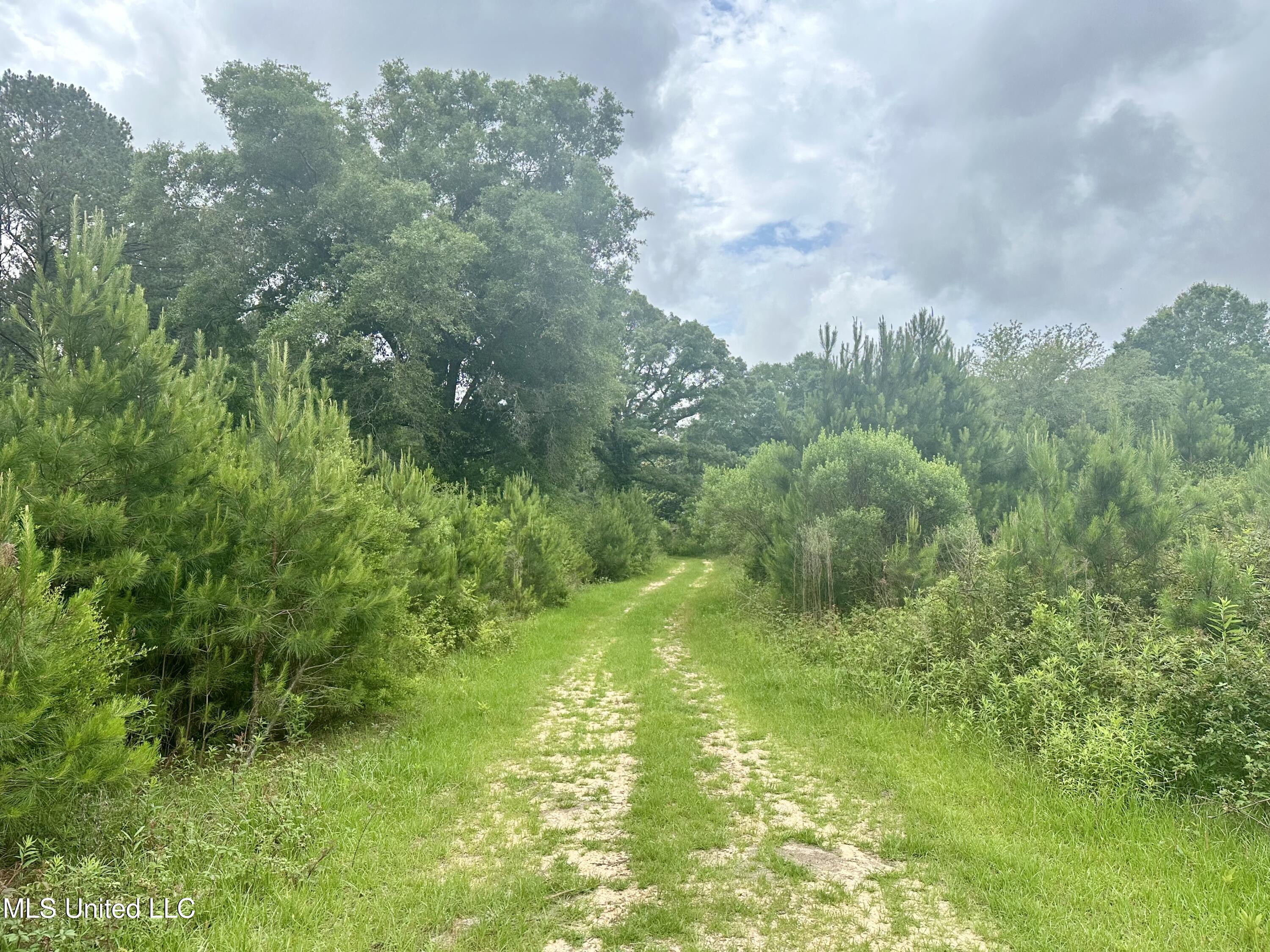 Old Stateline Rd, Tylertown, Mississippi image 6