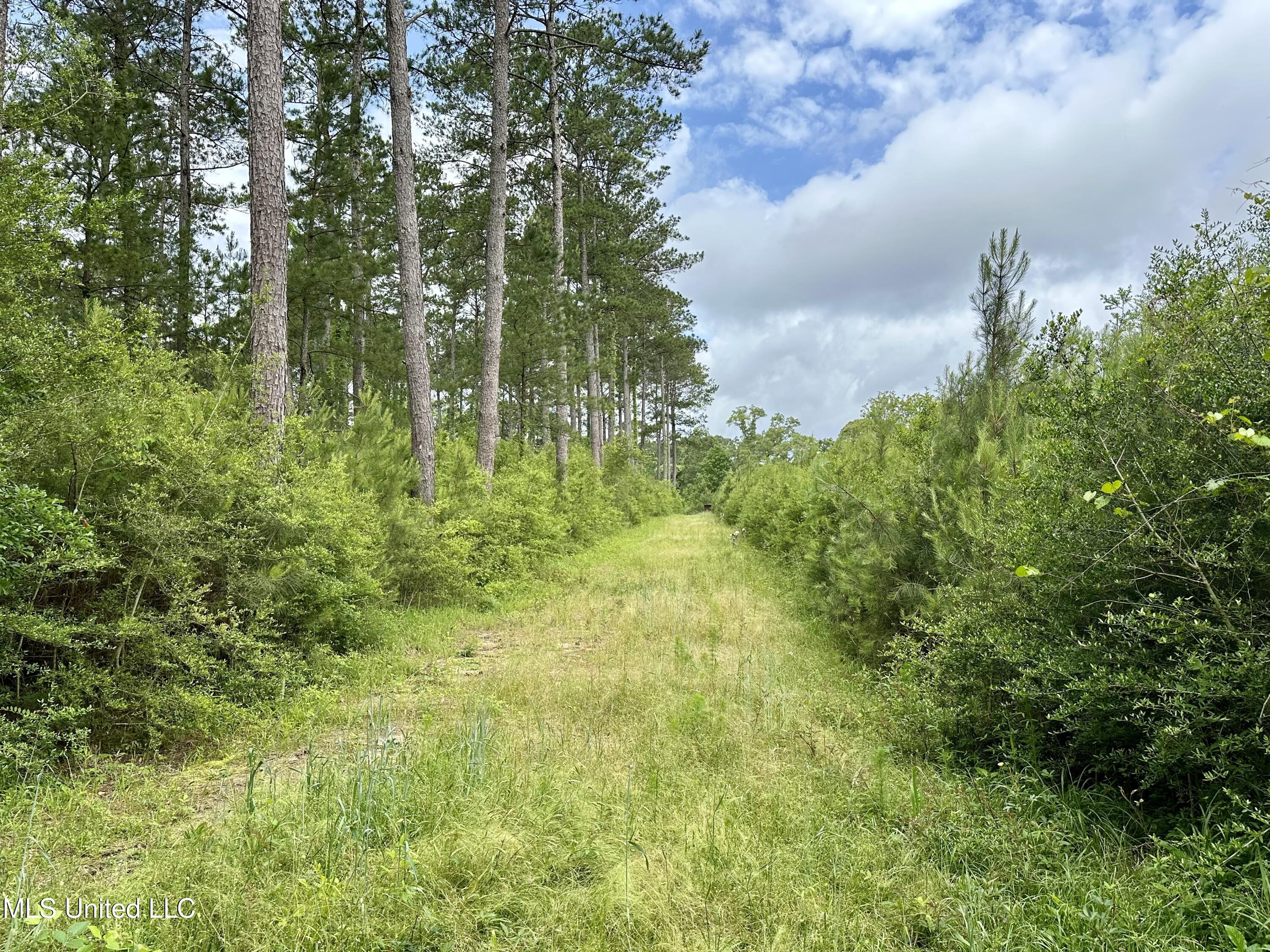 Old Stateline Rd, Tylertown, Mississippi image 9