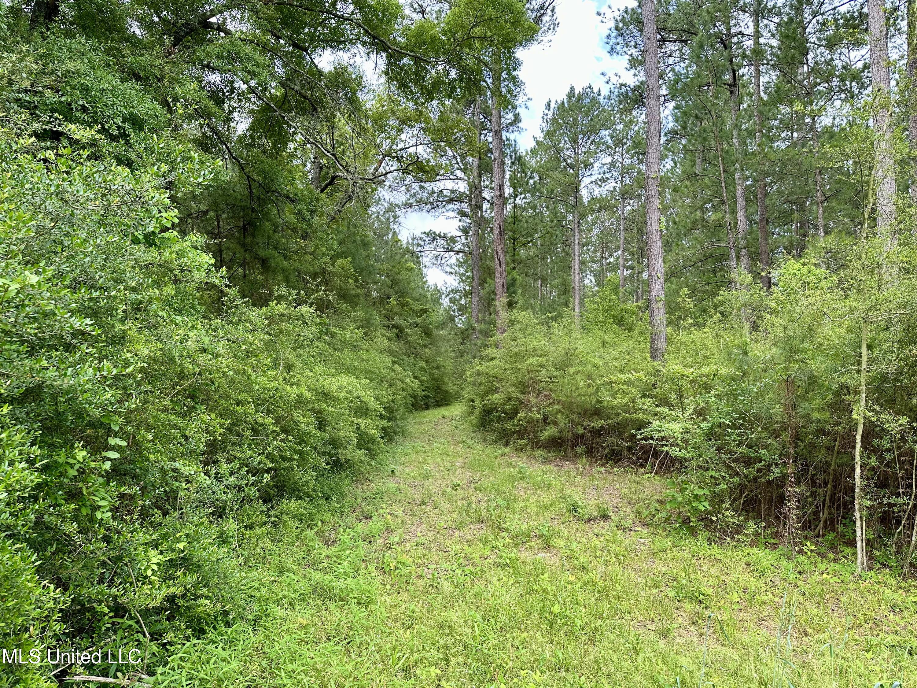 Old Stateline Rd, Tylertown, Mississippi image 8