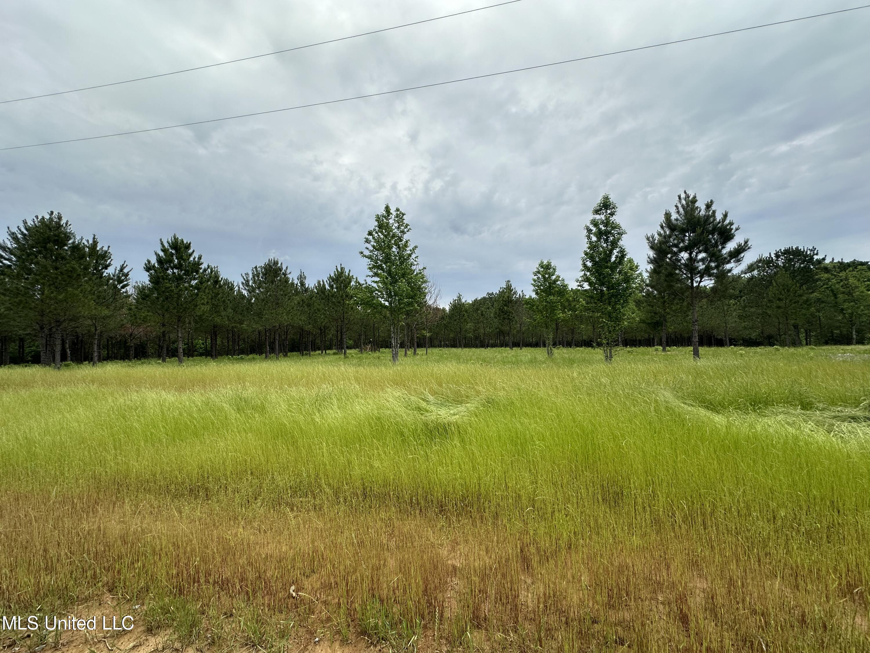 Stout Farms Drive, Canton, Mississippi image 1