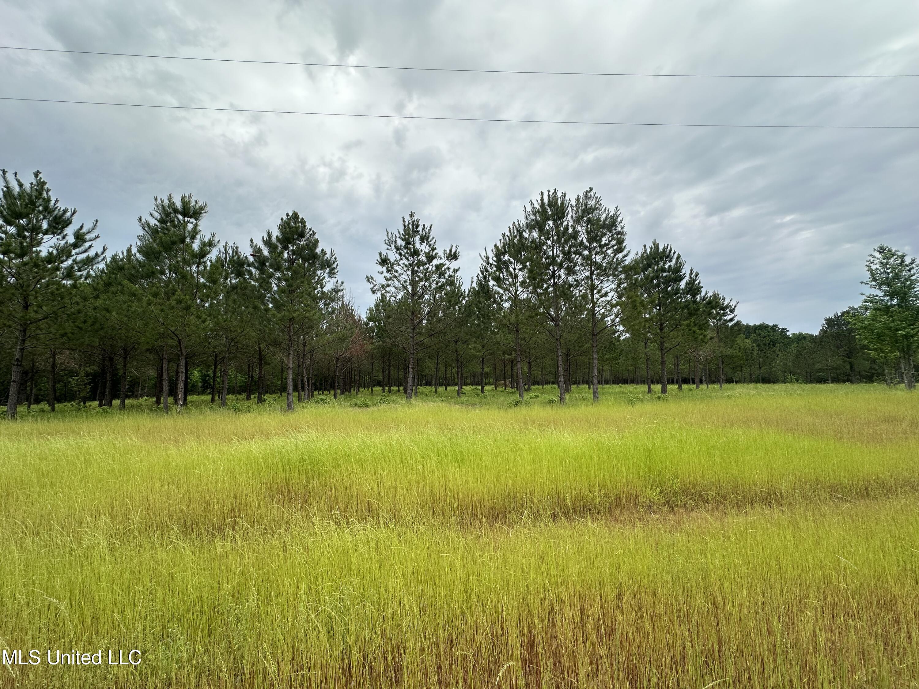 Stout Farms Drive, Canton, Mississippi image 2