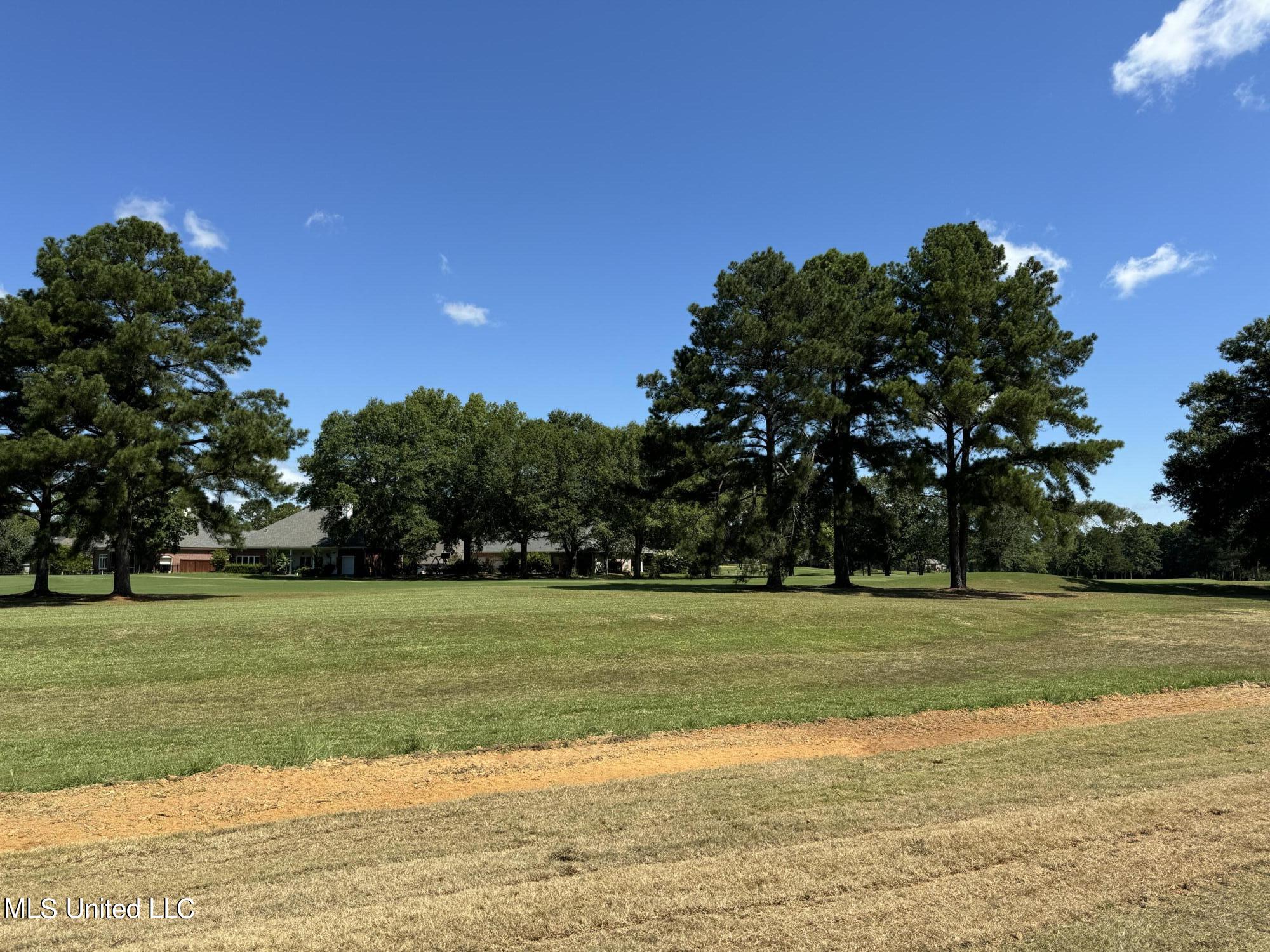 229 Deerfield Club Drive, Canton, Mississippi image 15