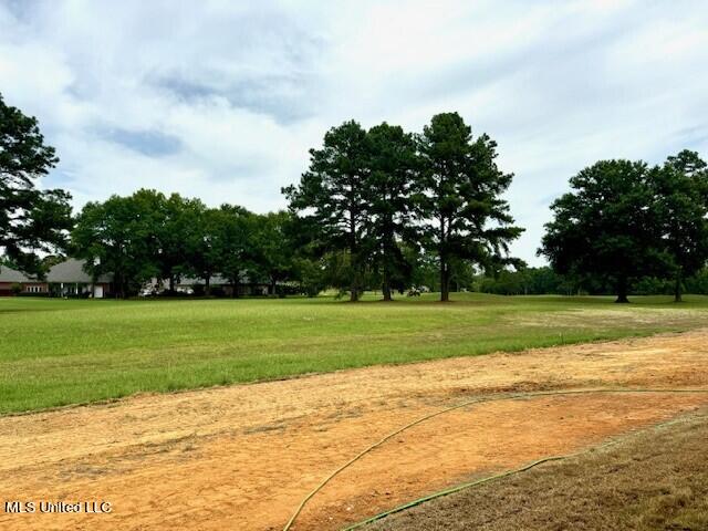 229 Deerfield Club Drive, Canton, Mississippi image 14