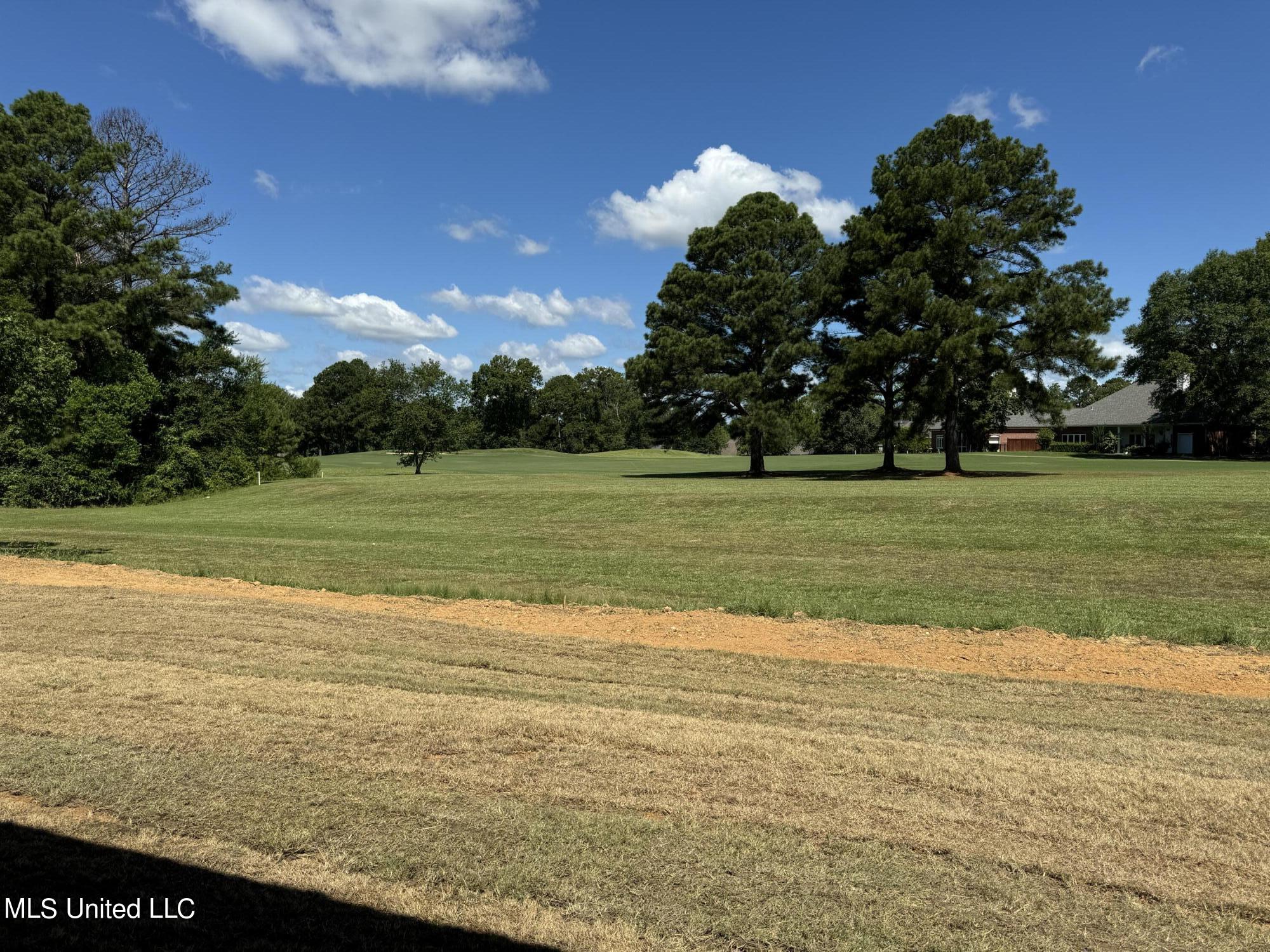 229 Deerfield Club Drive, Canton, Mississippi image 13