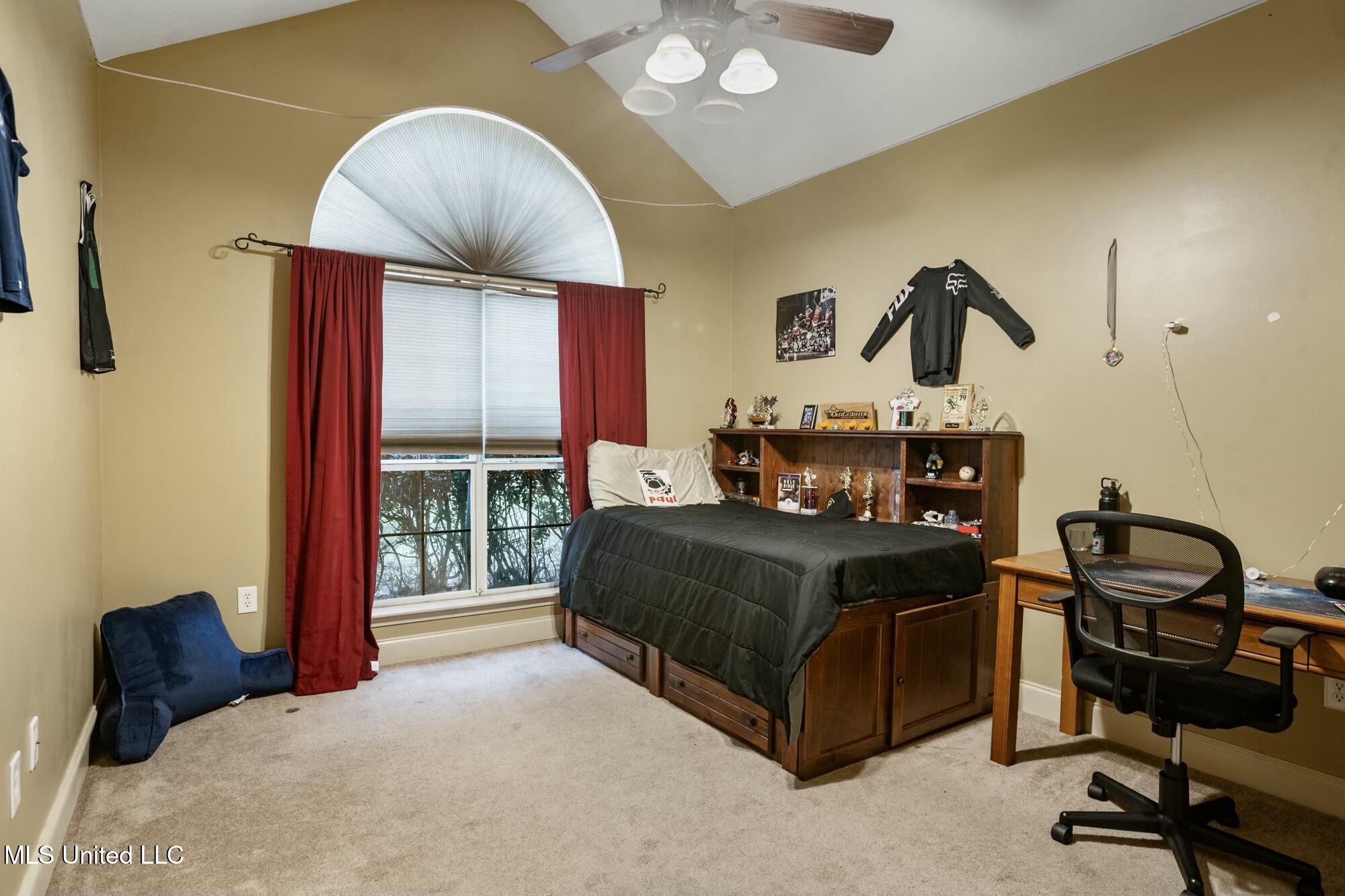 6 S Wind Ridge Cove, Purvis, Mississippi image 33