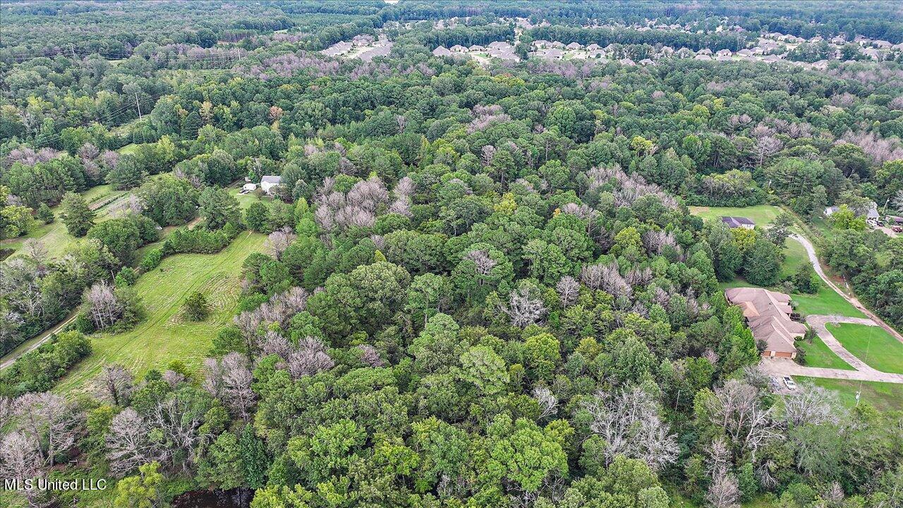 Catlett Road, Madison, Mississippi image 3