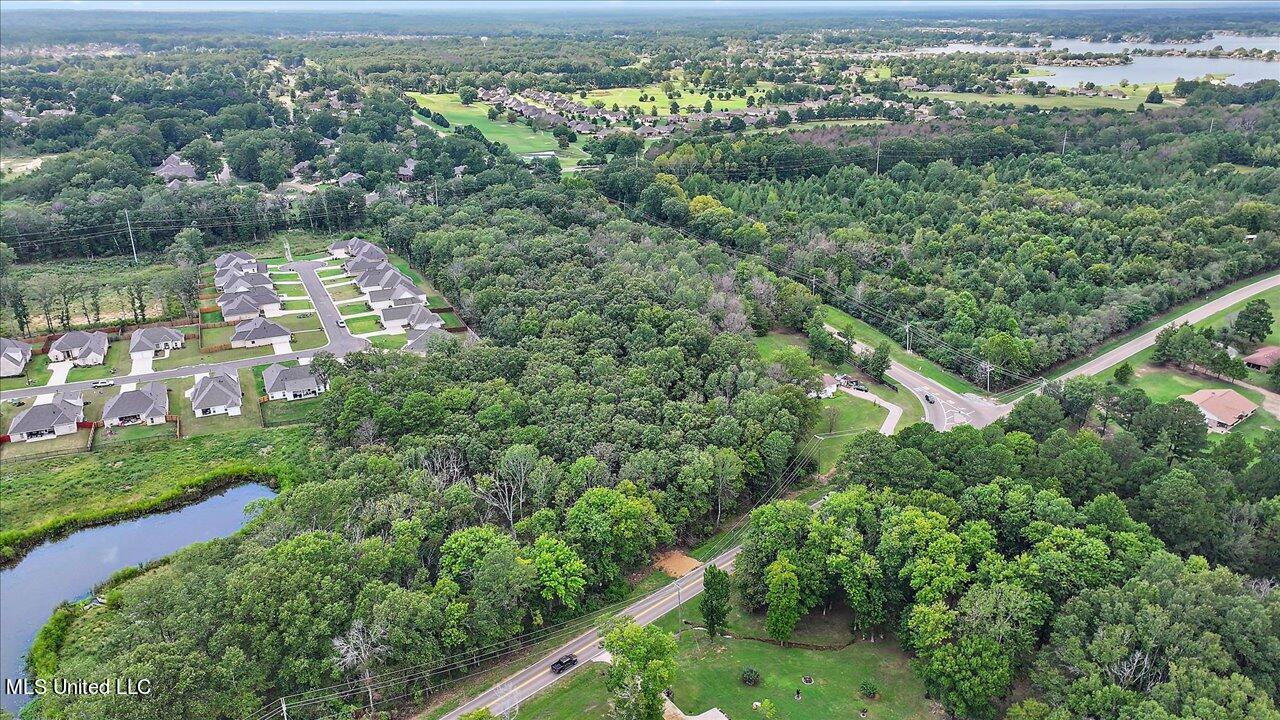 Catlett Road, Madison, Mississippi image 33