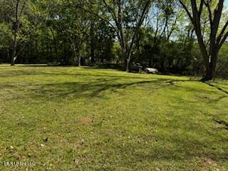 1017 Glensade Pl Place, Port Gibson, Mississippi image 50