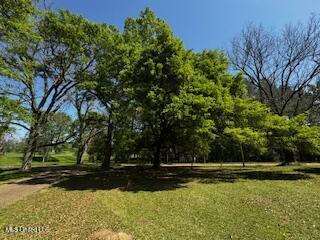 1017 Glensade Pl Place, Port Gibson, Mississippi image 42