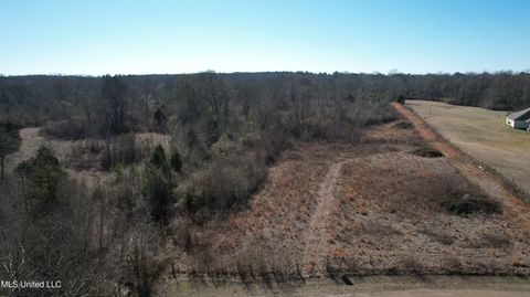 Vacant Land For Sale - 000 Levon Owens Drive<br/> Terry, MS 39170