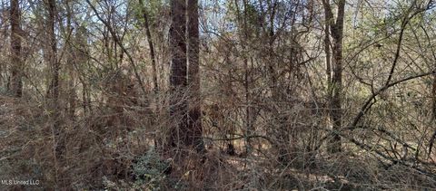 Vacant Land For Sale - NO Pecan Drive<br/> Lumberton, MS 39455