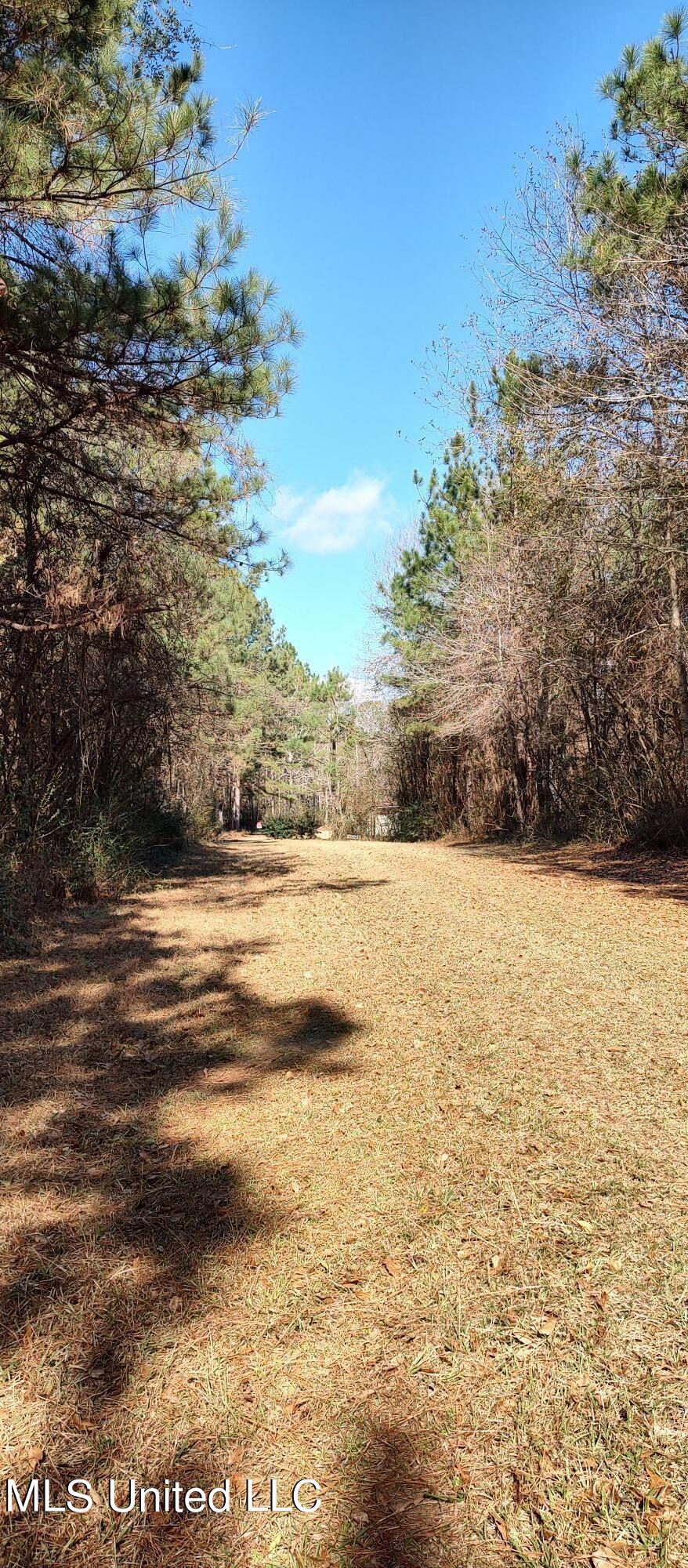 No Pecan Drive, Lumberton, Mississippi image 7