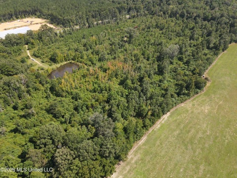 Vacant Land For Sale - 2104 U.s. 51<br/> Lincoln County, Bogue Chitto, MS 39629