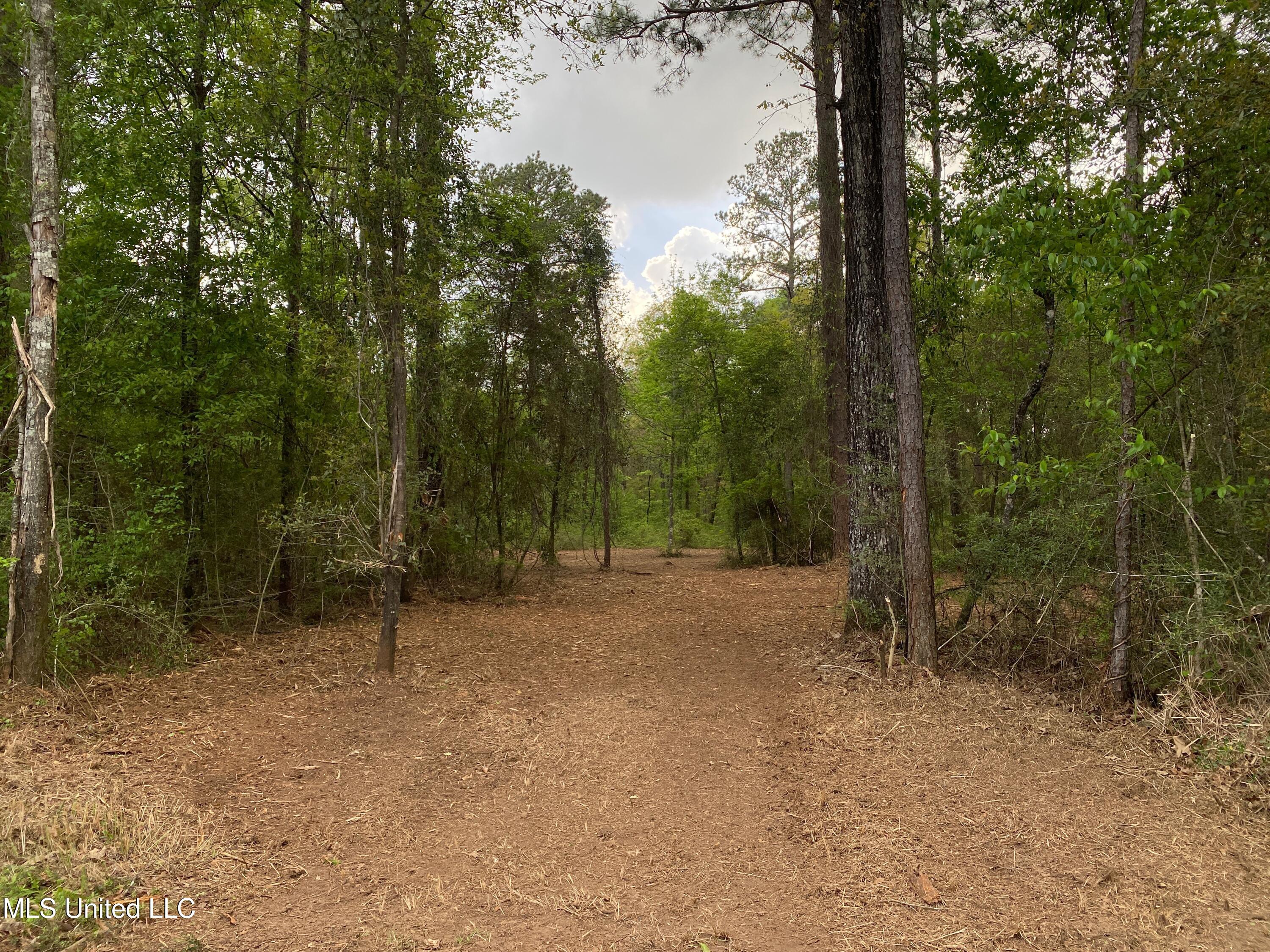 1.29 Acres Beaver Damn Road, Lucedale, Mississippi image 1