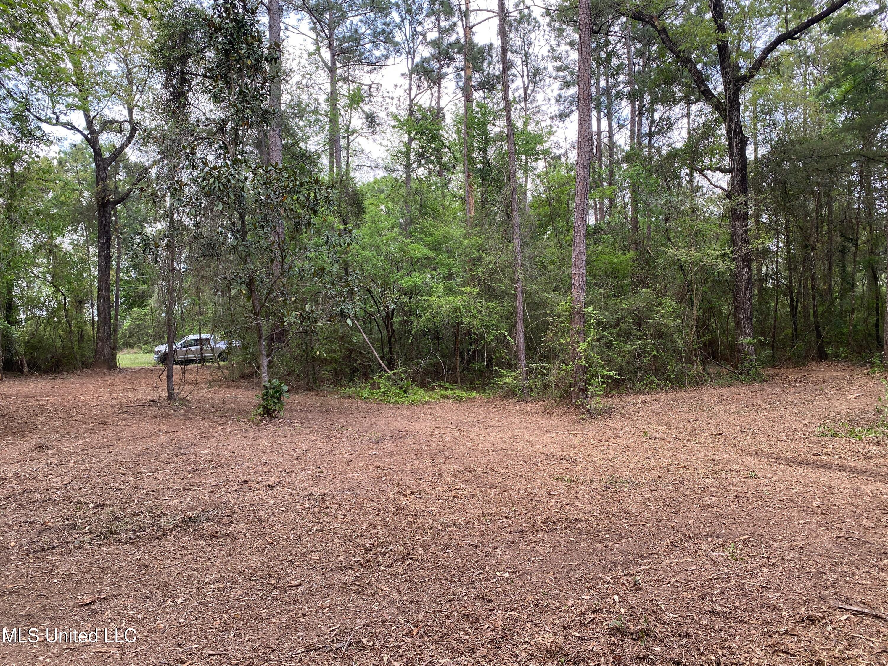 1.29 Acres Beaver Damn Road, Lucedale, Mississippi image 3