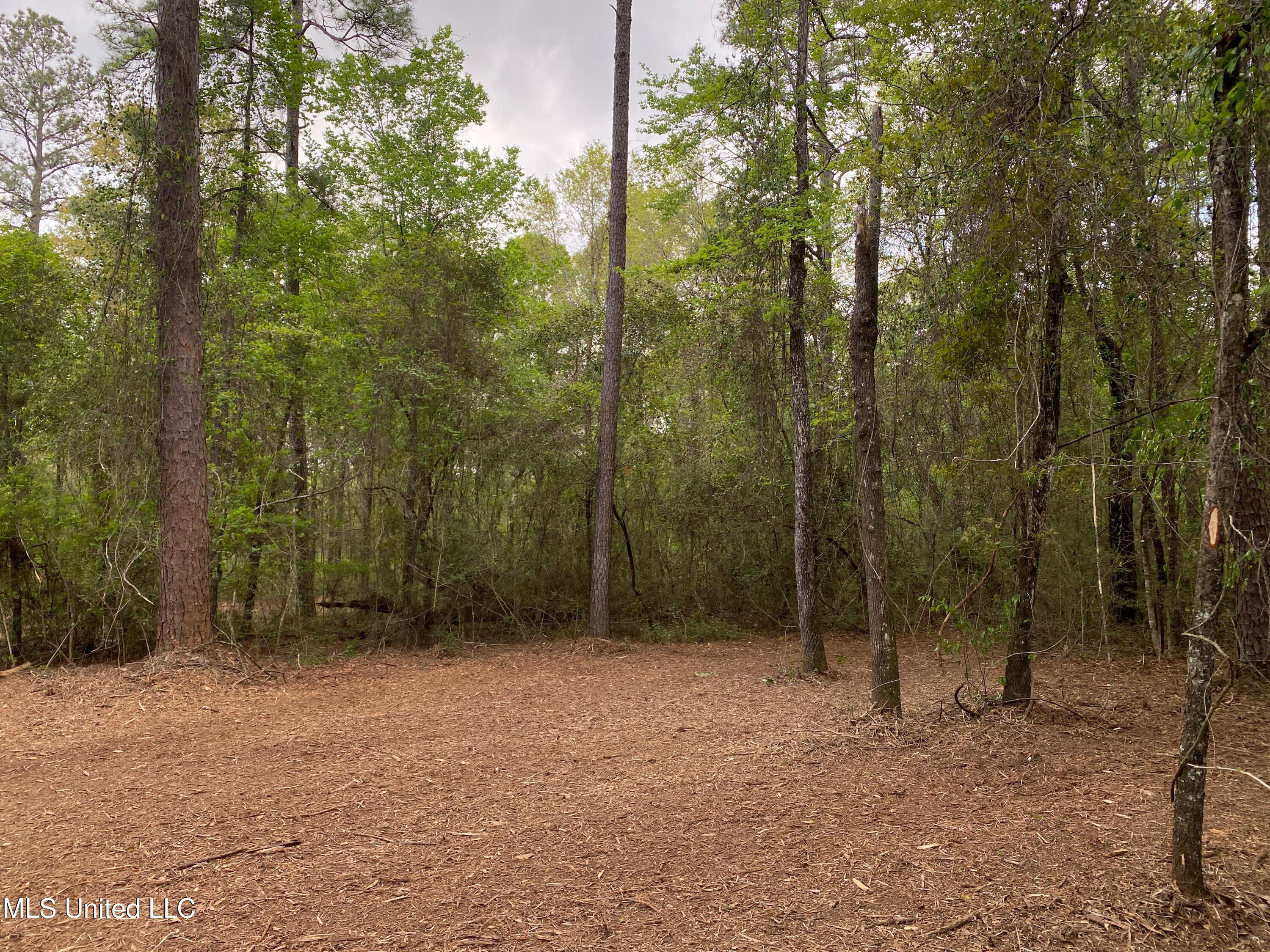1.29 Acres Beaver Damn Road, Lucedale, Mississippi image 2