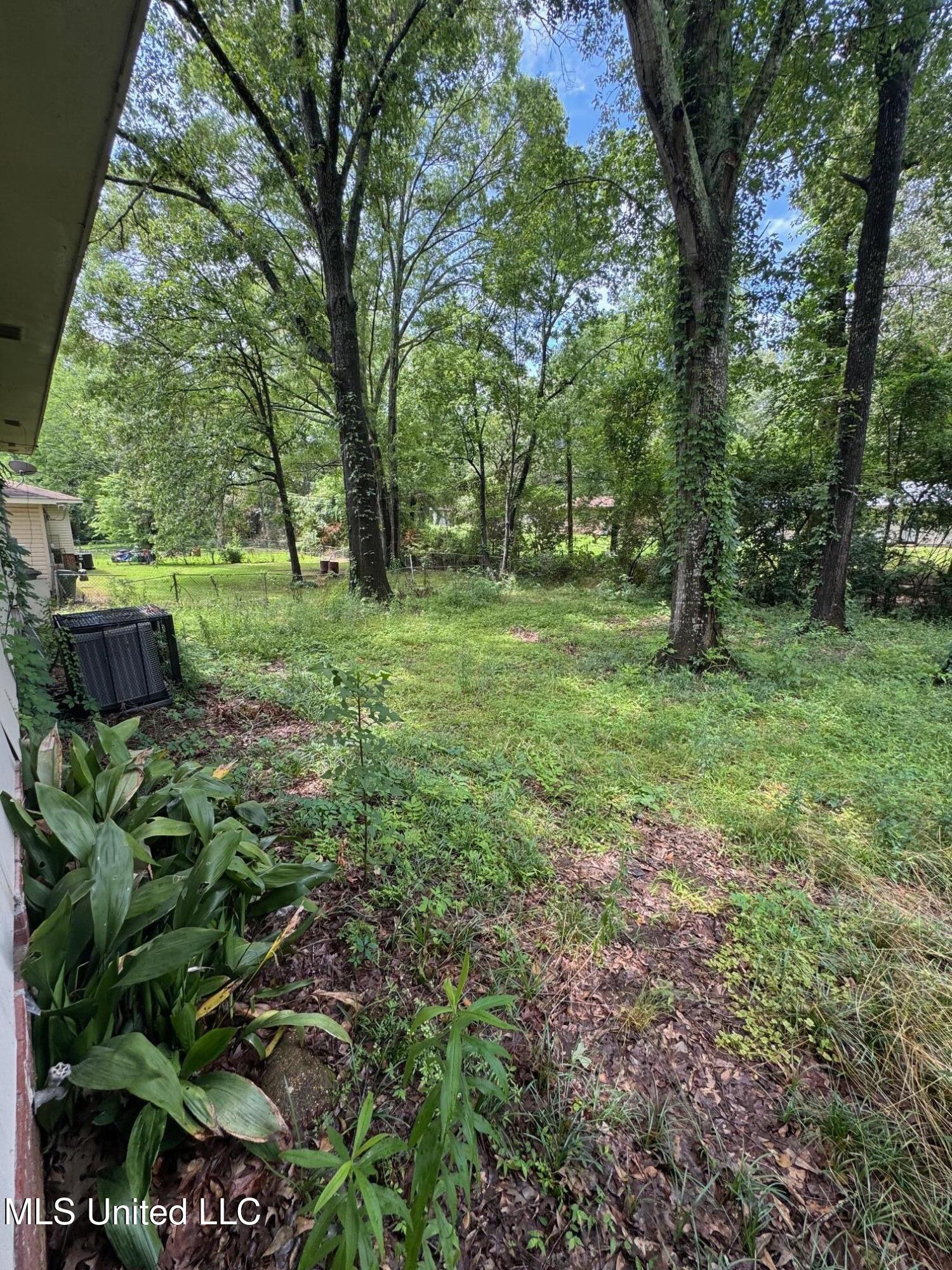 151 Queen Joanna Lane, Jackson, Mississippi image 13