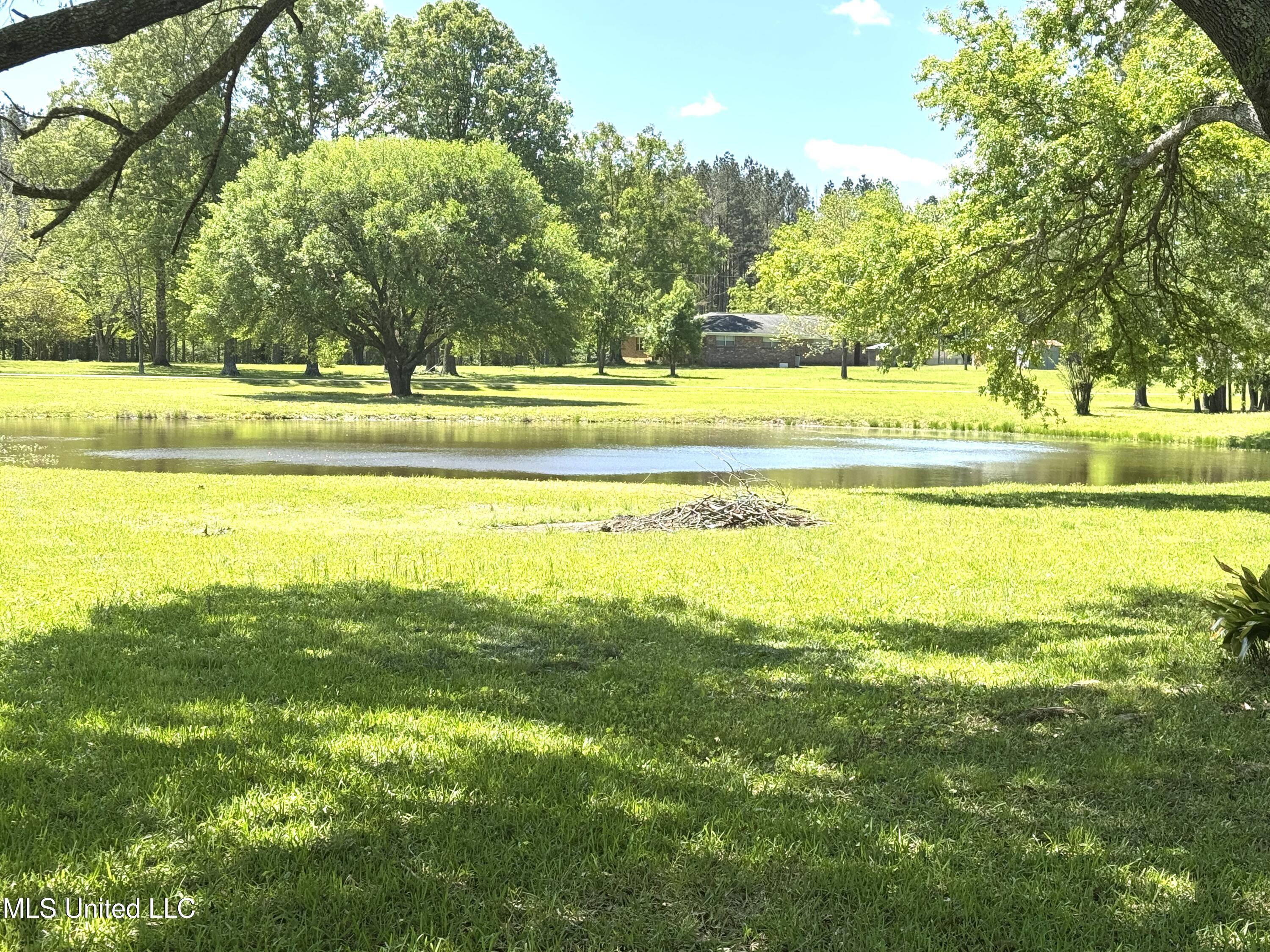 235 Parks Road, Jackson, Mississippi image 4
