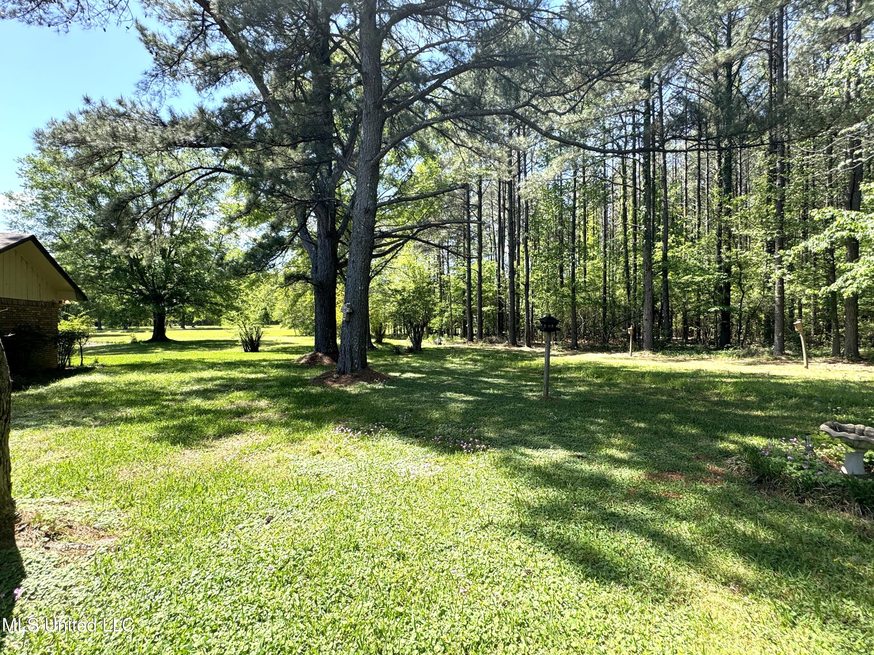 235 Parks Road, Jackson, Mississippi image 6