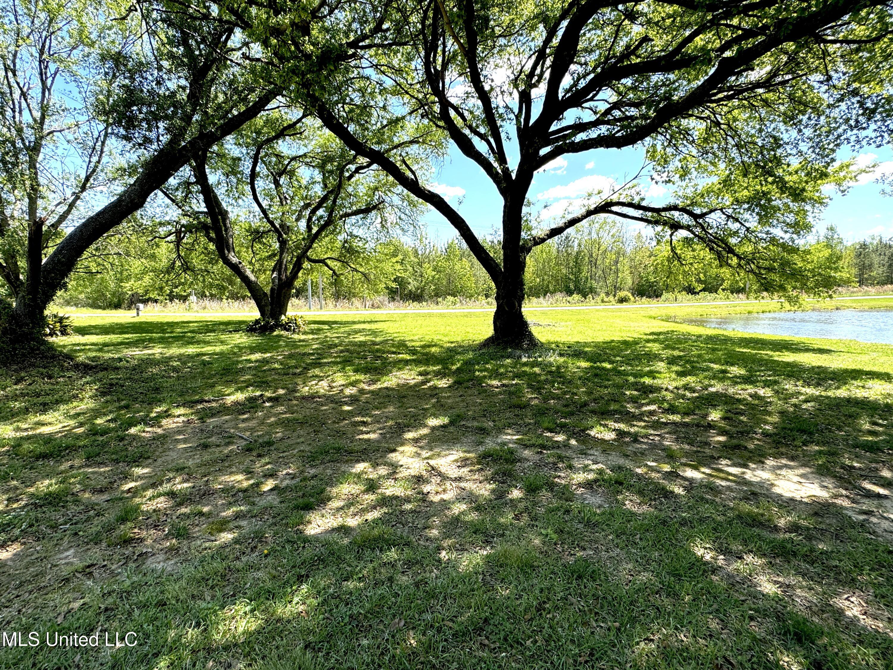 235 Parks Road, Jackson, Mississippi image 3