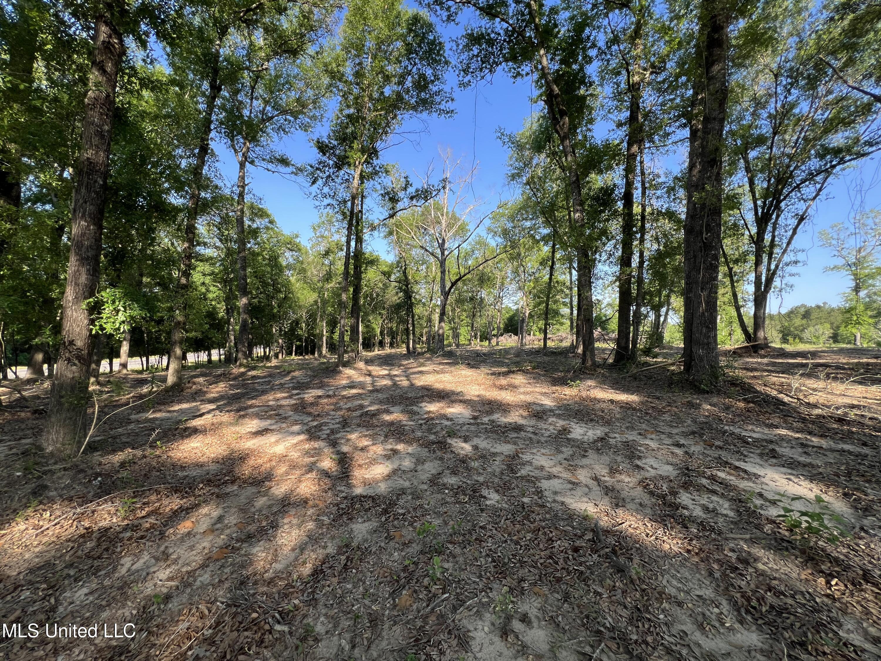 16 Ac Highway 198, Lucedale, Mississippi image 17