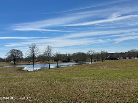 Vacant Land For Sale - Northern Exposure<br/> Pearl River County, Poplarville, MS 39470