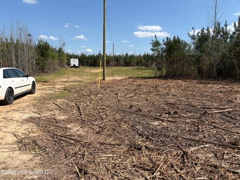 Vacant Land For Sale - Dry Creek Road<br/> Magee, MS 39111