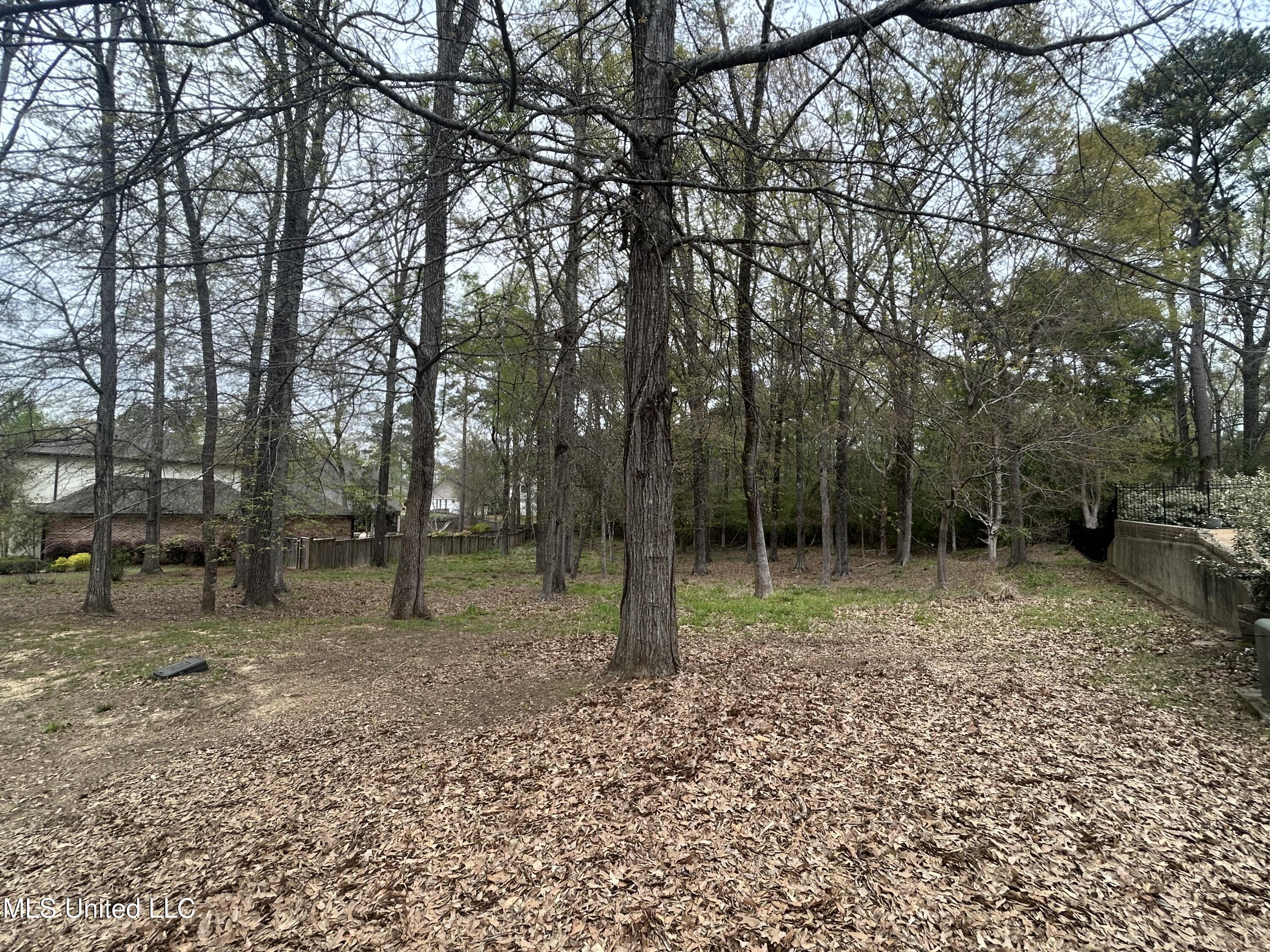 Cottesbrooke Circle Circle, Madison, Mississippi image 7
