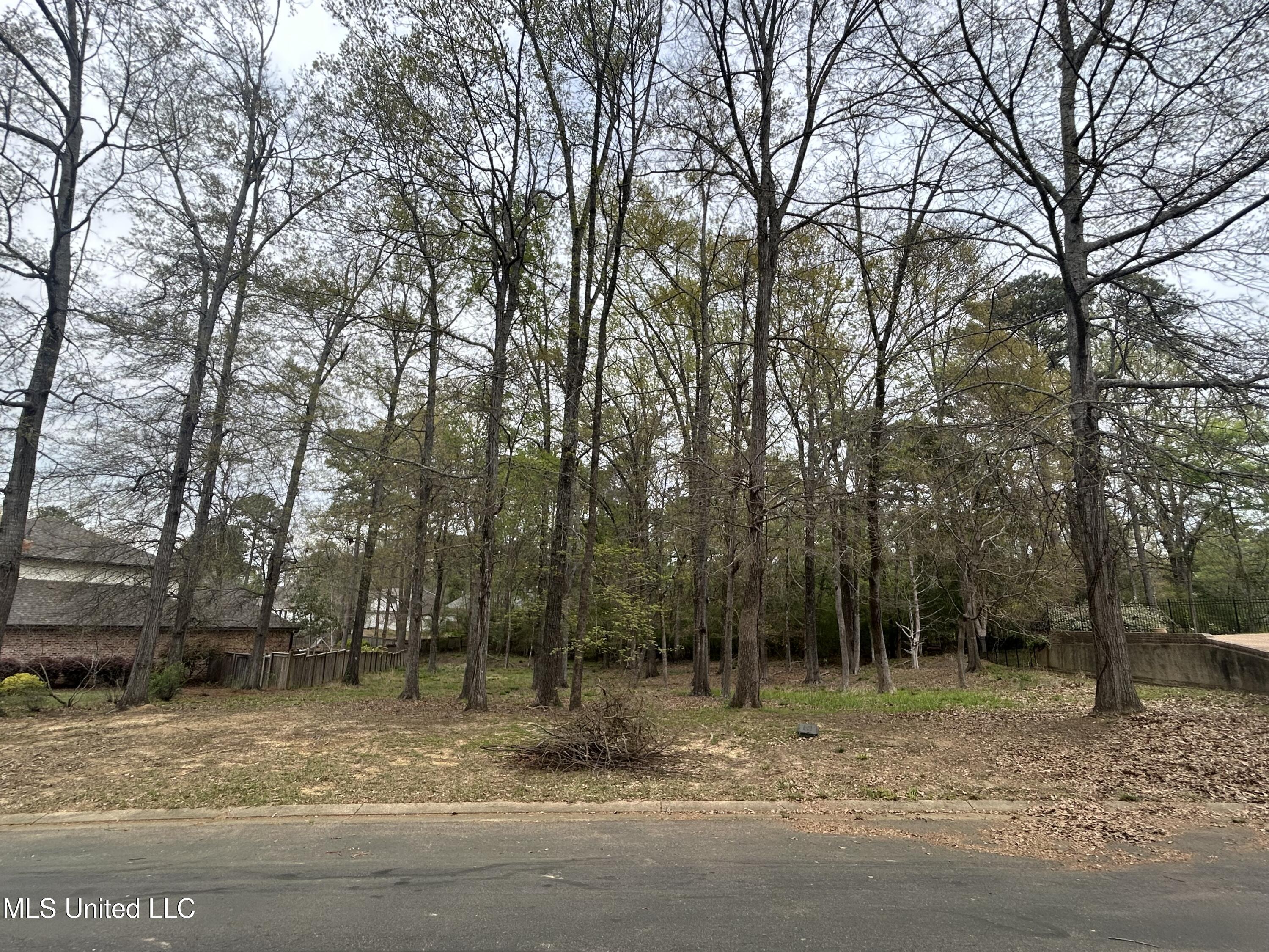 Cottesbrooke Circle Circle, Madison, Mississippi image 6