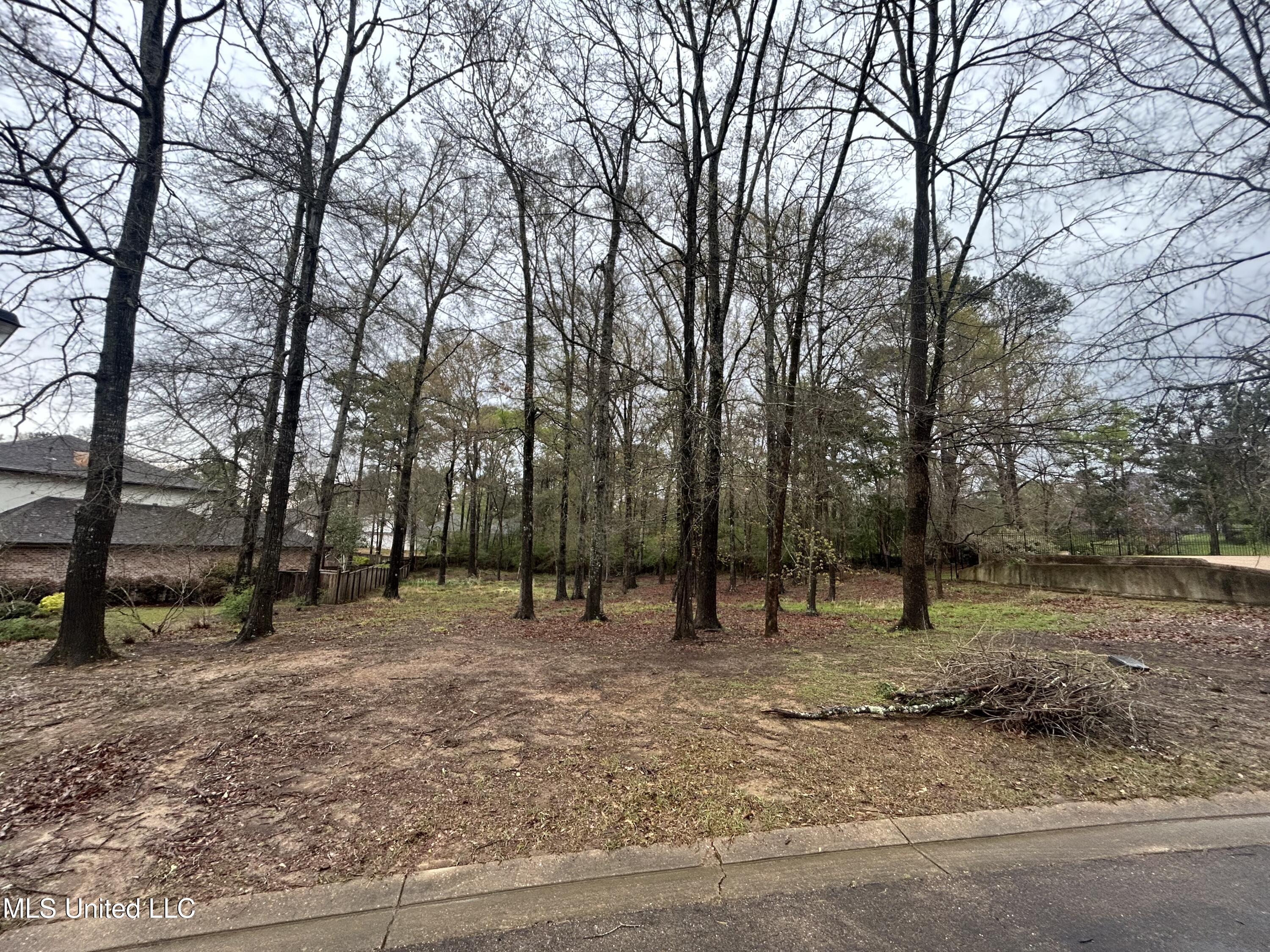 Cottesbrooke Circle Circle, Madison, Mississippi image 1