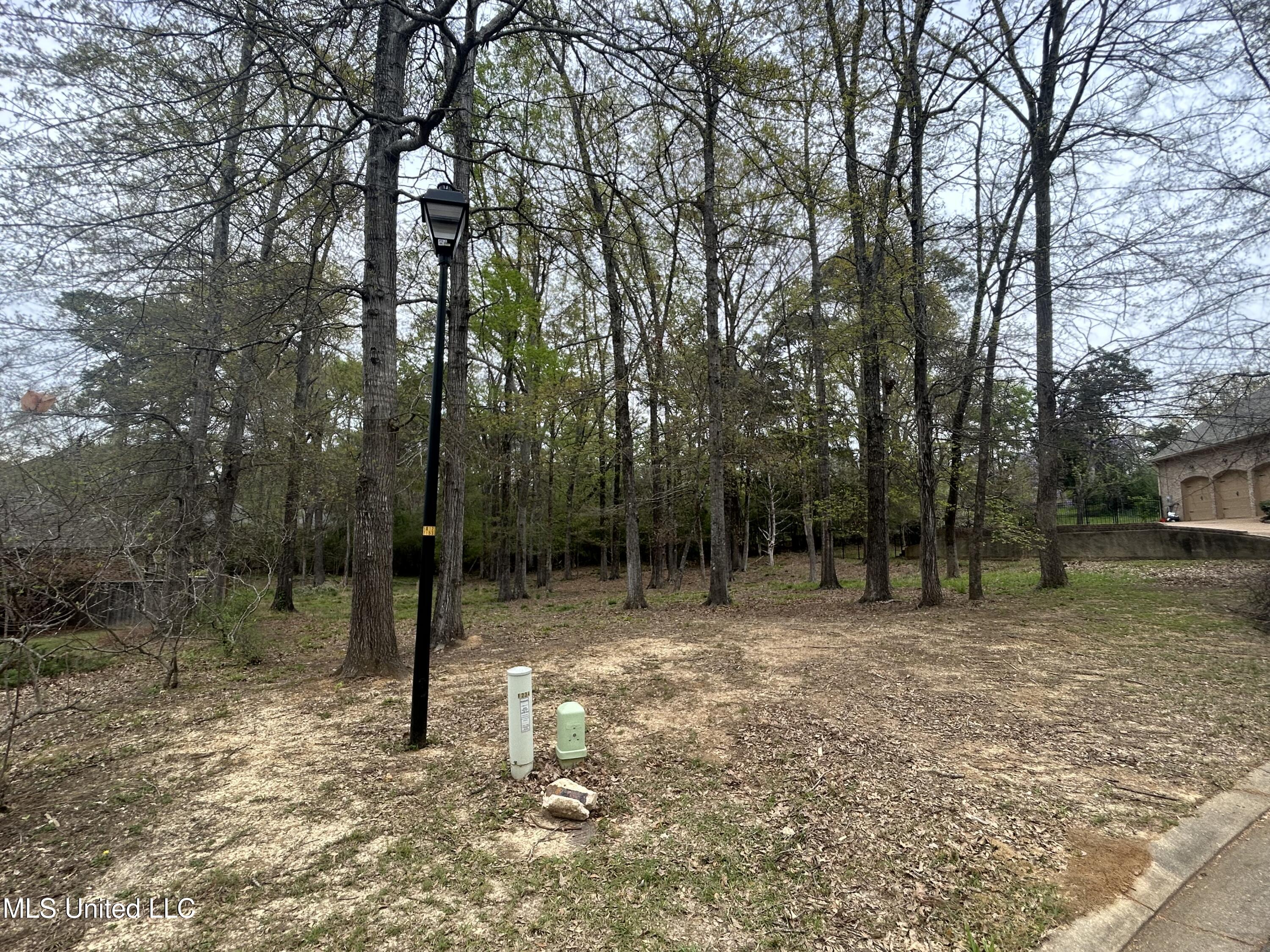 Cottesbrooke Circle Circle, Madison, Mississippi image 4
