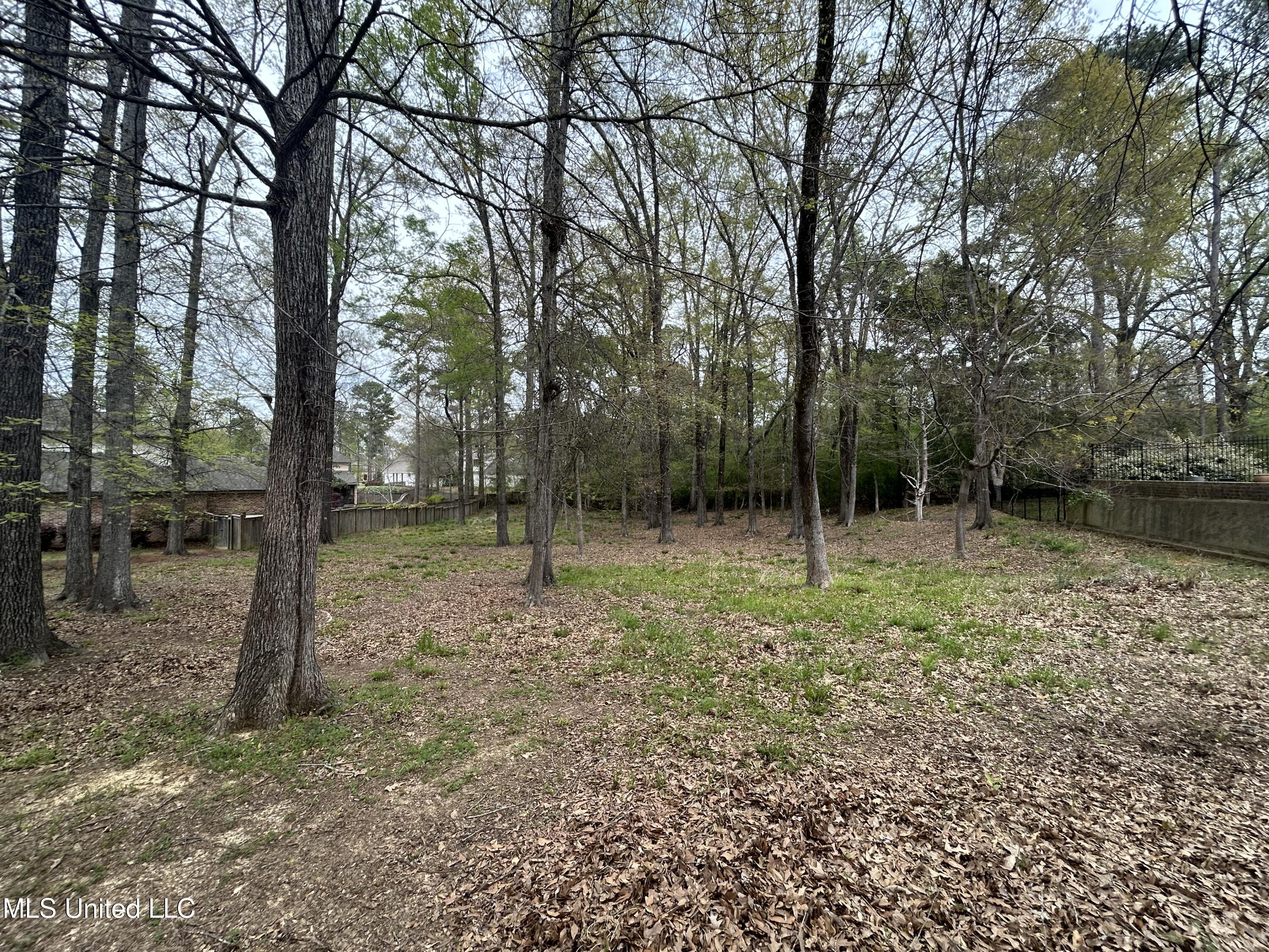 Cottesbrooke Circle Circle, Madison, Mississippi image 5